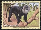 (cl. 4 - P.29) Nations Unies - Genève ** N° 496 (ref. Michel Au Dos)  Singe : Macaque - - Autres & Non Classés