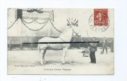 CPA  - Concours Central Hippique  - Cheval - Horse Show