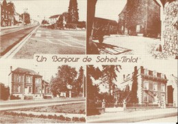 SOHEIT-TINLOT (4557) : Un Bonjour De Soheit-Tinlot. CPSM Multivues (4 Vues). - Tinlot