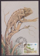 Cameleon - Portugal - Maximum Cards