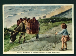 IRELAND  -  Old Bog Road  Minding The Donkey  Unused Vintage Postcard As Scan (pinhole) - Kildare