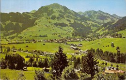 ZWEISIMMEN-PANORAMA - Zweisimmen