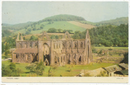 Tintern Abbey - Monmouthshire