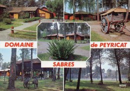 SABRES    DOMAINE DE PEYRICAT    DEPT 40 LANDES - Sabres