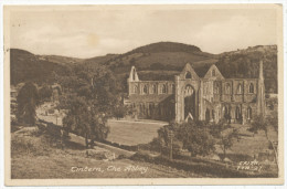 Tintern, The  Abbey, 1952 Postcard - Monmouthshire