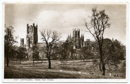 ELY CATHEDRAL FROM THE PARK - Ely