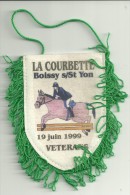 Fanion Boissy Sous Saint Yon Essonne La Courbette Hippisme Hippique Equitation Cheval Blason Ecusson Bannière Oriflamme - Equitation