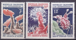 Colonies Francaises Nouvelle Calédonie N° 322/324 Aquarium De Nouméa 1964/65 Neuf ** - Ungebraucht