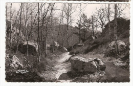 CP Milly La Forêt Sous Bois 91 Essonne - Milly La Foret