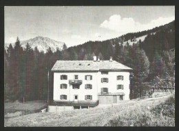 SPLÜGEN GR Wädenswilerhaus Wädenswil Rheinwald 1972 - Rheinwald