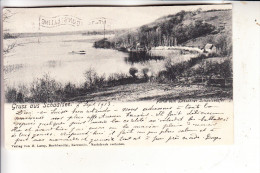 0-2821 LASSAHN, Schaalsee, Gruß Aus...1913, Oben Leicht Beschnitten - Zarrentin