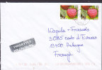 Poland Prioritaire Boxe Cds. PLOCK 2012 Cover Brief To France 2x Malina Raspberry Himbeere Framboise Lampone Frambuesa - Covers & Documents