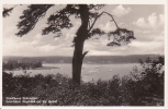 AK Berlin - Blockhaus Nikolskoe - Herrlicher Ausblick Auf Die Havel (19989) - Wannsee