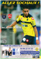 Programme FC Sochaux â€“ Valenciennes 2012/3 - Books