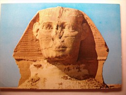 Carte Postale Egypte Gizeh The Head Of Famous Sphinx (circulée Voir Timbre) - Gizeh