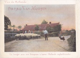 HAREN                         Un Berger Avec Son Troupeau                   PUB CACAO VAN HOUTEN - Laren (NH)