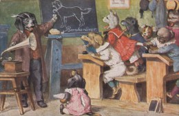 Hunde, Hunde In Der Schule, Dackel, "Sprachlehre", Arthur Thiele - Thiele, Arthur