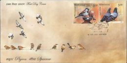 Bird, Fauna, Nature, Sparrow, Pigeon, India 2010 First Day Cover, New Delhi Cancellation - Moineaux