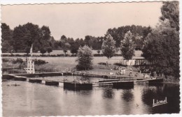 Carte Postale 49- CHATEAUNEUF SUR SARTHE - La Piscine  (circulé ) - Chateauneuf Sur Sarthe