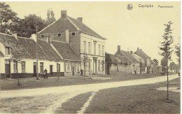 CAPRIJKE - Paardemarkt - Uitg. Romanie De Vos - Kaprijke