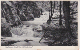 AK Teutoburger Wald - Im Silberbachtal - 1937 (20275) - Detmold