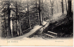 CPA - BAD HARZBURG - PHILOSOPHENWEG - BULOW'S - Bad Harzburg