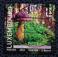 Luxembourg 2013 Oblitéré Used Champignon Xerocomus Badius Boletus Badius Bolet Bai - Used Stamps