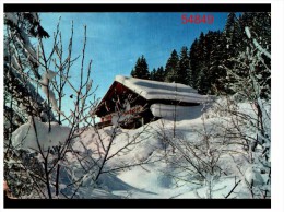 L'hiver Dans Nos Montagnes Feerie Neigeuse - Bäume