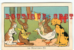 ACHAT DIRECT < BENJAMIN  RABIER  - NOUVEAU NE - CHIEN OIE LAPIN CANARD - PUBLICITE PHARMACIE < BOISSON PICARD Au DOS - Rabier, B.