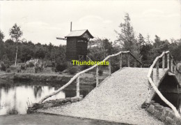 CPSM TREMELO BRUG EN MOLEN HOLLANDS VIN - Tremelo