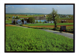 Etats Unis: Lancaster, Amish Seasons, The Beautiful Lancaster County Countryside, Buggy (15-3859) - Lancaster