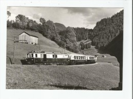 GOLDEN MOUNTAIN EXPRESS PRES DE ROSSINIERE EN 1932 3.7 - Rossinière