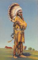 04543 "PUEBLO INDIAN DANCER IN FULL REGALIA"  ANIMATED. ILLUSTRATED POSTCARD, NOT SHIPPED. - Amerika