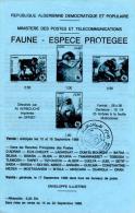 DZ 1988 - Philatelic Brochure Without Stamp WWF Protected Species Barbary Macaque (Macaca Sylvanus), Magot Singe - Covers & Documents