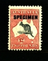 AUSTRALIA - 1934  KANGAROO  £ 2  C Of A  WATERMARK  OVERPRINTED  SPECIMEN  MINT NH  SG138 - Nuovi