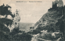 ORGELET - Les Ruines Du Château - Orgelet
