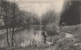 PLOMBIERES     VOSGES  88  CPA AU PARC   LE LAC - Plombieres Les Bains