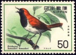 BIRDS-NATURE CONSERVATION-RYUKYU ROBIN-JAPAN-1976-MNH-B6-800 - Pics & Grimpeurs