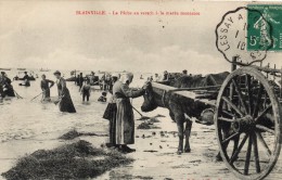 50 - BLAINVILLE SUR MER  - La Pêche Au Varech à La Marée Montante - Blainville Sur Mer