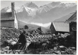 C.P  UN CERTAIN REGARD PHOTOGRAPHIE DE BERNARD GRANGE  A VALLOIRE 73 SAVOIE - Autres & Non Classés