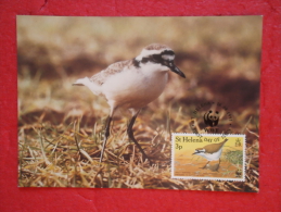 St. Helena Serie World Animals Widelife Fund 1993 Nice Stamp - Sainte-Hélène