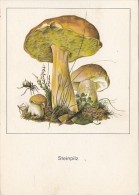 34509- MUSHROOMS - Mushrooms