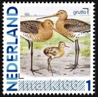 Netherlands - 2011 - Personalized Stamp - Netherlands Birds, Black-tailed Godwit - Mint Personalized Stamp - Unused Stamps