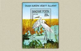 Hungary 1980. Animals - Birds (waterbirds) Sheet MNH (**) Michel: Bl. 146. / 5 EUR - Nuevos