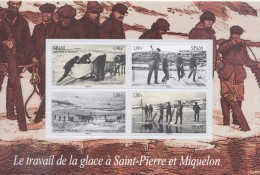 St Pierre Et Miquelon 2008 - Le Travail De La Glace à SPM  - BF Neufs // Mnh - Blocks & Kleinbögen