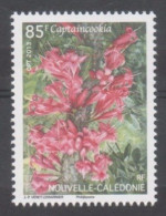 Nelle CALEDONIE - Flore - Fleur : Captaincookia (Ixora Margaretae) - Ungebraucht