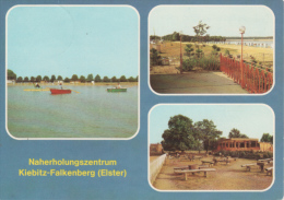 Falkenberg Elster Kiebitz - Mehrbildkarte 1 - Falkenberg