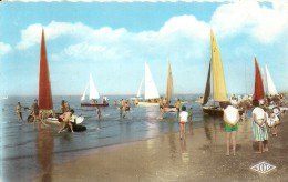 NORD PAS DE CALAIS - 59 - NORD - CPSM PF Couleur - BRAY DUNES - Bateaux à Voile Du Yacht Club - Bray-Dunes