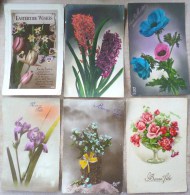 Lot 6 X Cp Photo Fleurs Jardin Rose Jacinthe Iris Myosotis Anemones Timbre Belgique - Collections & Lots