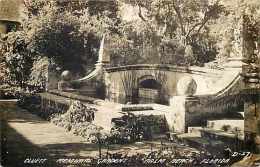 245919-Florida, Palm Beach, RPPC, Cluett Memorial Gardens, LL Cook Photo No D-27 - Palm Beach